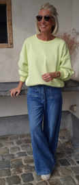 HAPPY IN A MILLION LITTLE WAYS sweatshirt lemon