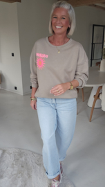 PARADISE GLOW sweatshirt taupe