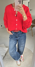 LIESJE cardigan red