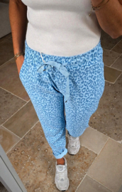 LEO cotton jogger pants