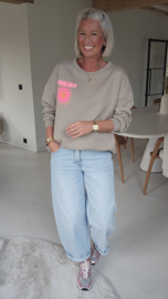 PARADISE GLOW sweatshirt taupe