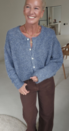 LIESJE cardigan jeans blue