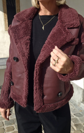 TONIA pu teddy jacket burgundy
