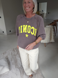 ICONIC sweatshirt chocolat