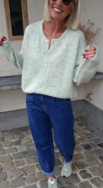 LIESJE cardigan mint