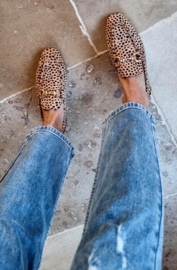 CLASSY suède loafers leopard