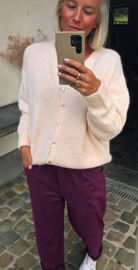 LIESJE cardigan soft powder pink