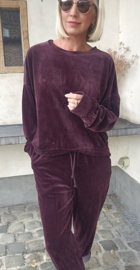 VERO soft velvet jogger set plum