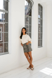 WILD SOUL denim skirt