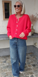 LIESJE 2 cardigan red