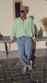 LIESJE cardigan anis