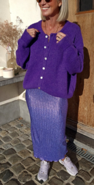 FEBE glitter skirt skirt violet