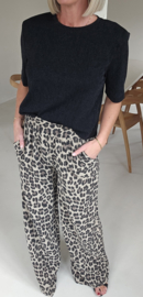 LEO tetra pants