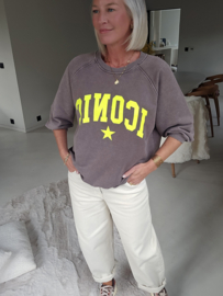 ICONIC sweatshirt chocolat