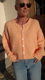 LIESJE cardigan fresh peach