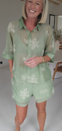 MAUD set olive