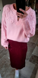 SHINE AND SPARKLE skirt burgundy