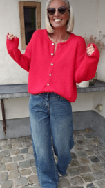 LIESJE 2 cardigan red