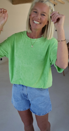 DANA terry T-shirt fresh green