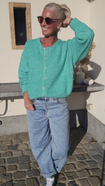 LIESJE cardigan emerald