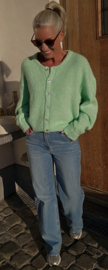 LIESJE cardigan Apple green