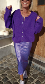 FEBE glitter skirt skirt violet