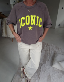 ICONIC sweatshirt chocolat