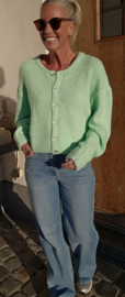 LIESJE cardigan Apple green