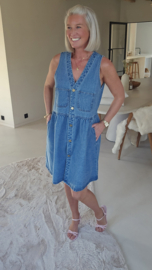 DREW denim button dress