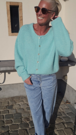LIESJE cardigan turquoise
