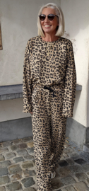 LEO jogger set camel