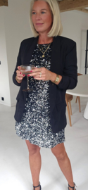 PARTY TIME glitter dress silver