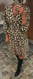 JAYLIN LEO viscose dress