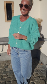 LIESJE cardigan emerald
