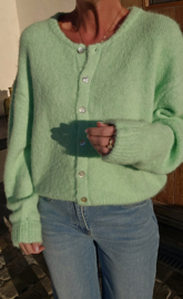 LIESJE cardigan Apple green