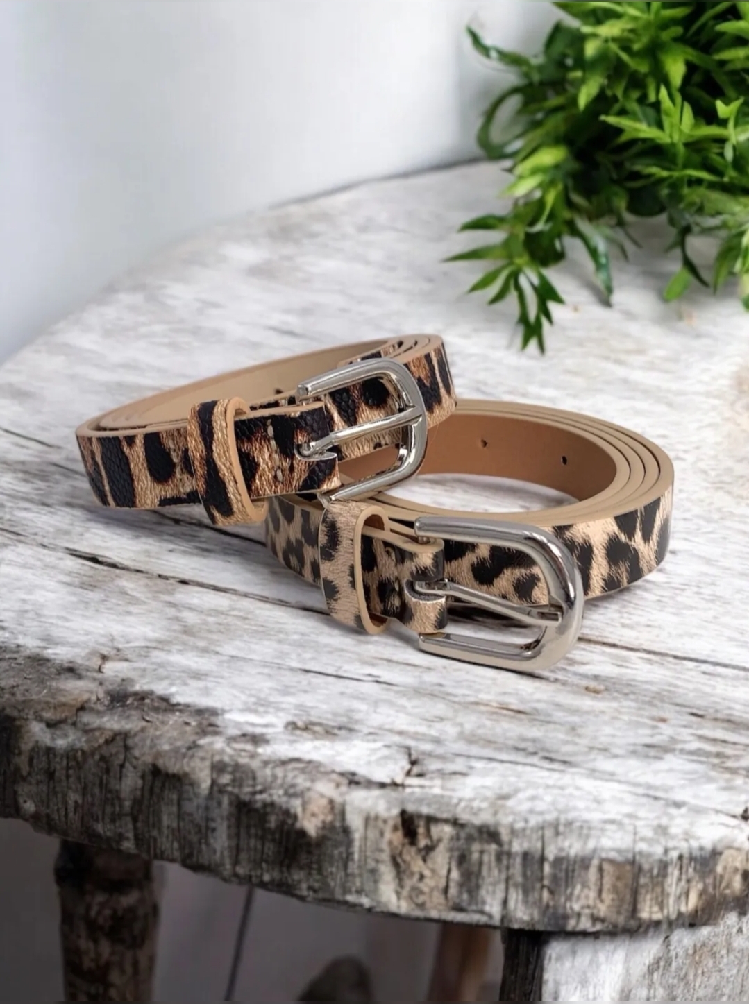 LEO belt