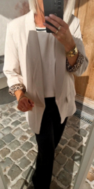 BASIC LEO blazer beige