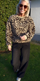 TEDDY LEO sweat