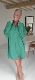 AMALFI tetra shirt dress green