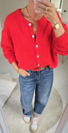 LIESJE cardigan red