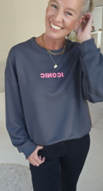 ICONIC sweatshirt dark grey