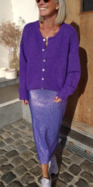 FEBE glitter skirt skirt violet