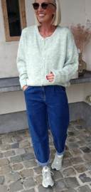ALYSS baggy jeans