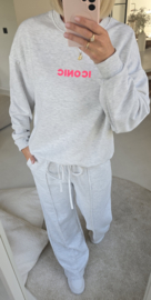 ICONIC sweatshirt grey