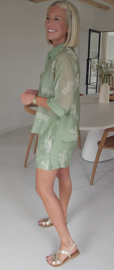 MAUD set olive