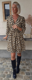 JAYLIN LEO viscose dress