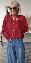 LIESJE cardigan burgundy