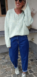 LIESJE cardigan mint