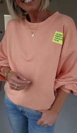 PERFECT sweatshirt peach