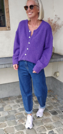 LIESJE cardigan violet